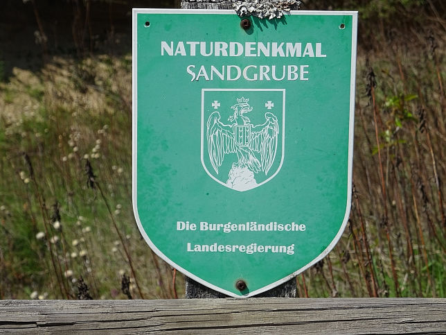 Neustift bei Gssing, Bienenfresserkolonie