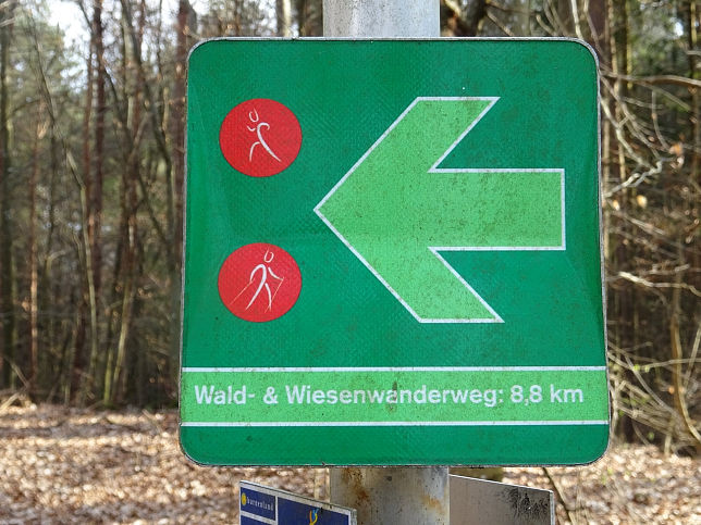 Neustift bei Gssing, Traubeneiche