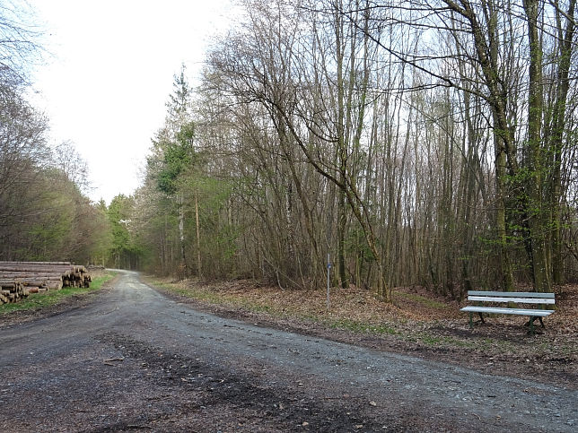 Neustift bei Gssing, Traubeneiche