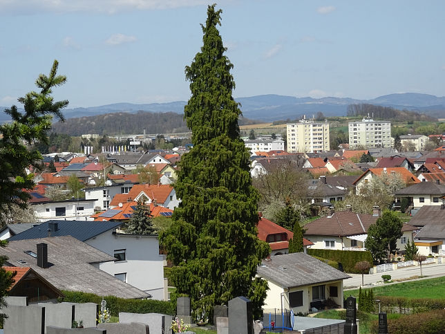 Oberwart