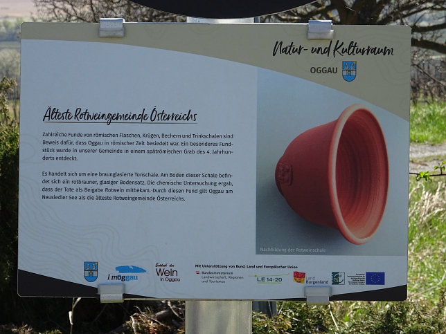 Oggau, Weinbau und Weinlese