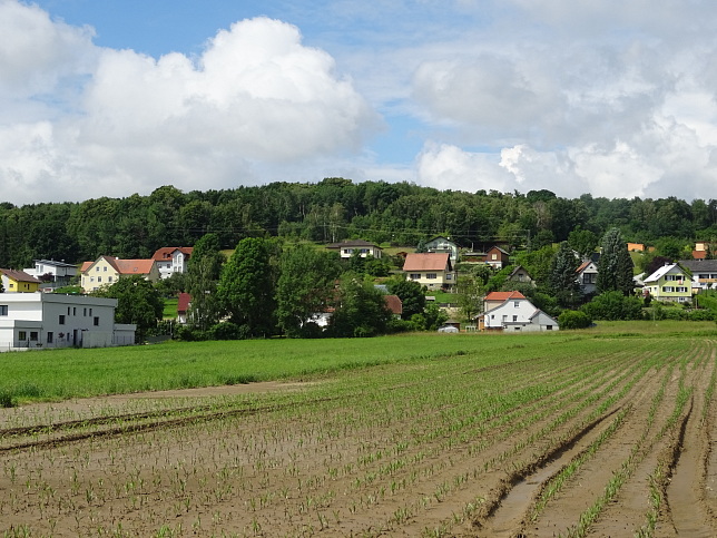 Pinkafeld, Engleitenstrae