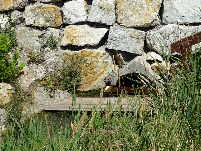 Podersdorf, Thomasbrunnen