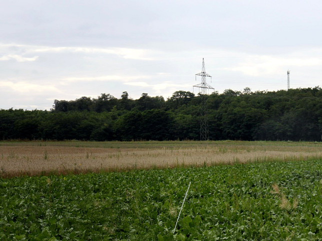 Pttsching, Hausberg Lahmenwald