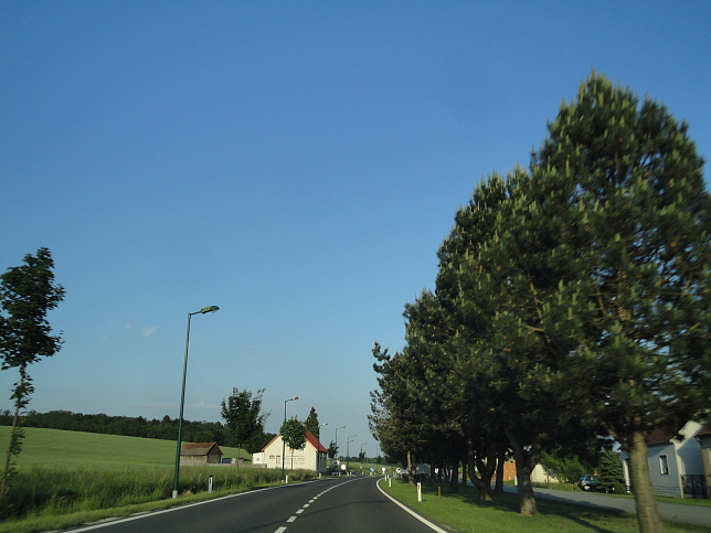 Rauchwart