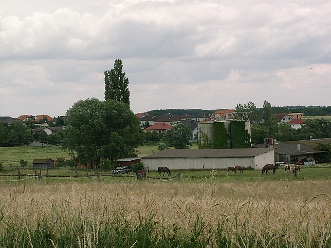 Rechnitz