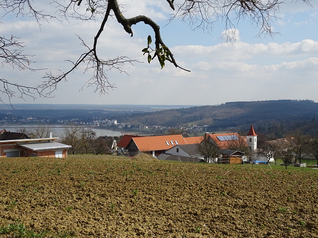 Rosenberg