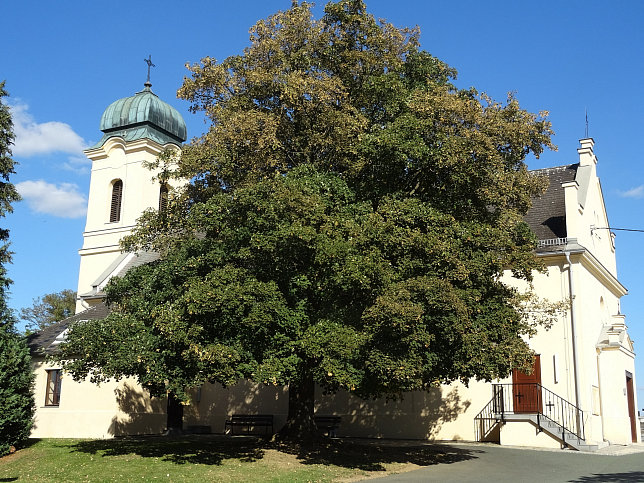 Schachendorf, Pfarrkirche hl. Martin