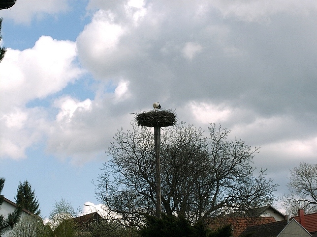Schachendorf, Storchennest