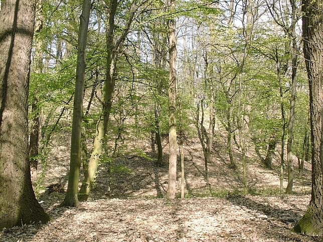 Schandorf, Hgelgrber