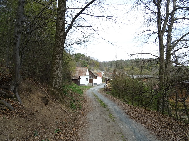 Schnau