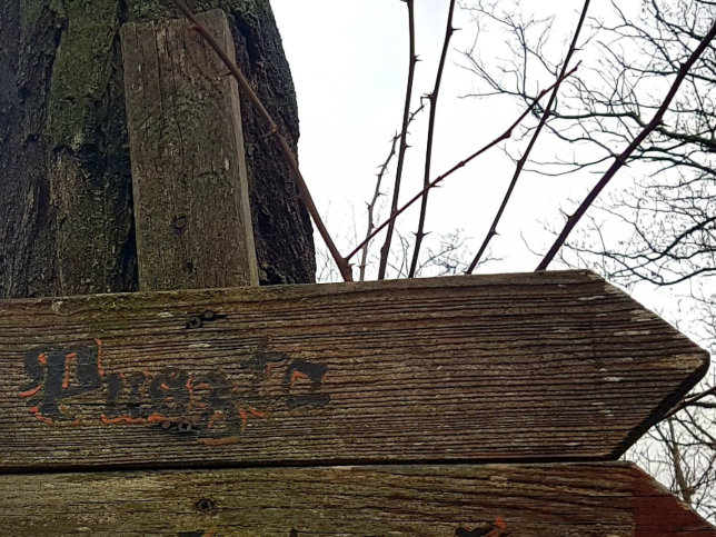 Siegendorf, Pusztahof