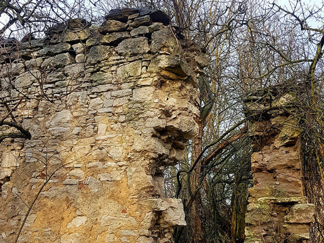 Siegendorf, Pusztahof