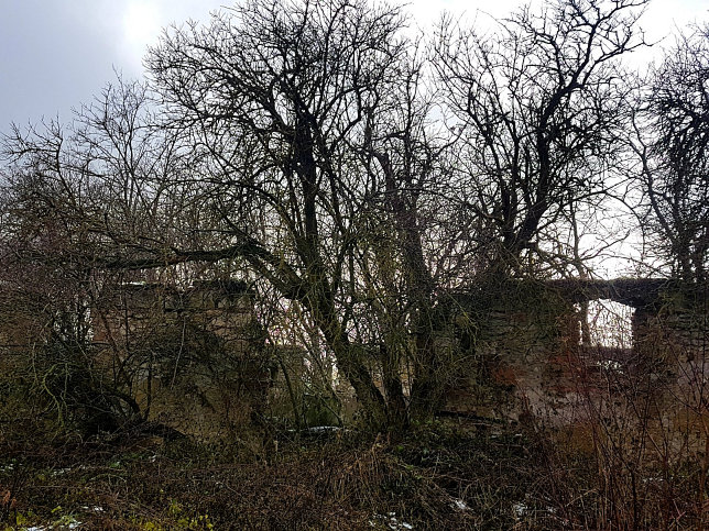 Siegendorf, Pusztahof