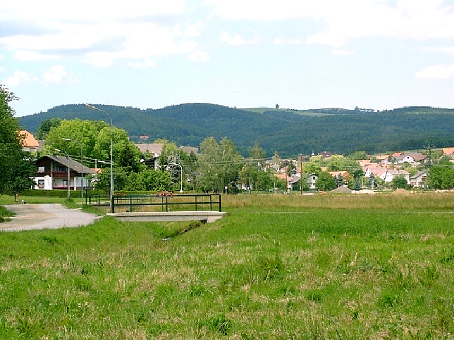Wiesfleck