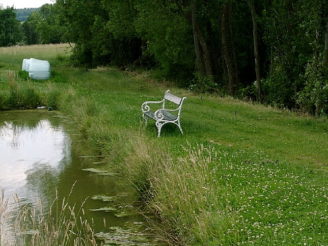 Wiesfleck, Teich