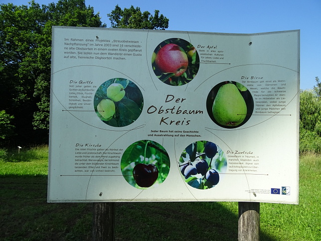Wrterberg, Obstkreisbaum