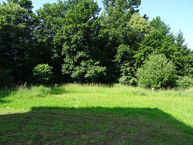 Wrterberg, Obstkreisbaum