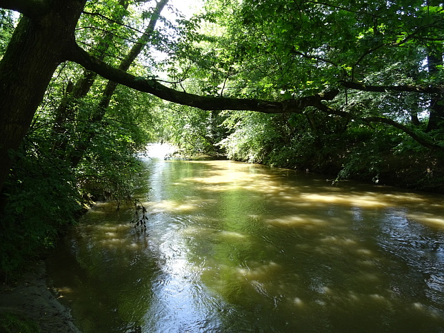 Wrterberg, Lafnitz
