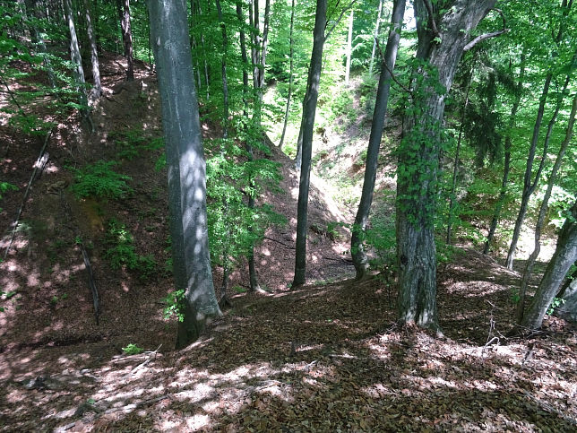 Wolfau, Burggrabenbach Quelle