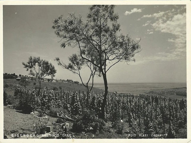 Eisenberg an der Pinka, Gasthaus Graf