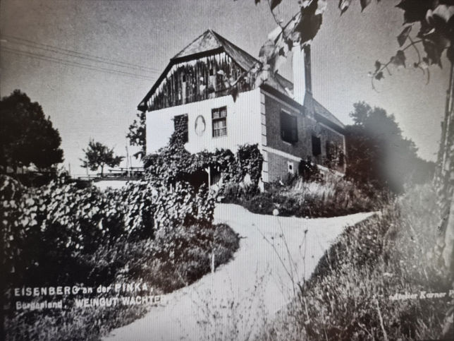 Eisenberg an der Pinka, Weingut Wachter
