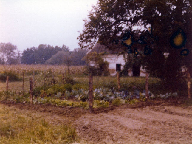 Eltendorf, Buchmann-Mhle, Gemsegarten