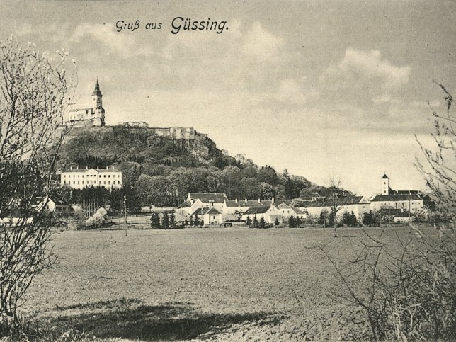 Gssing, Burg