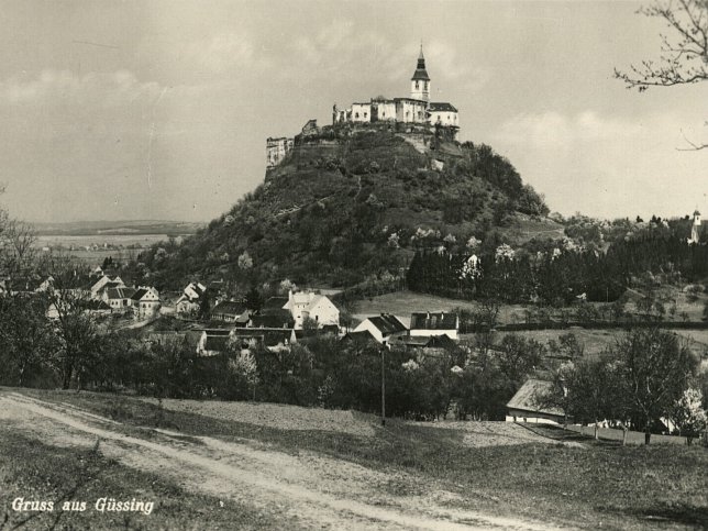 Gssing, Burg