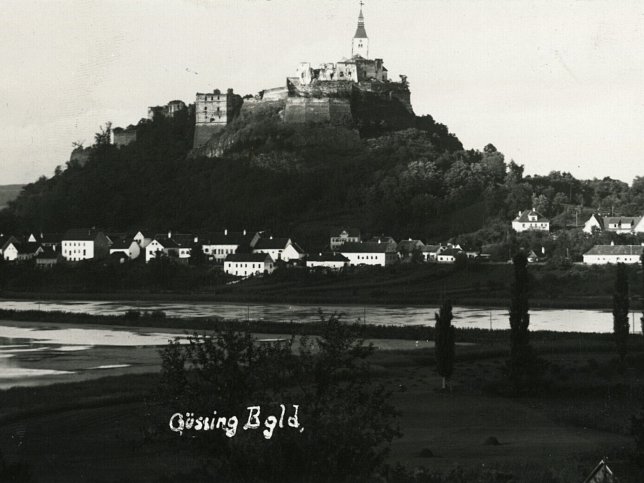 Gssing, Burg