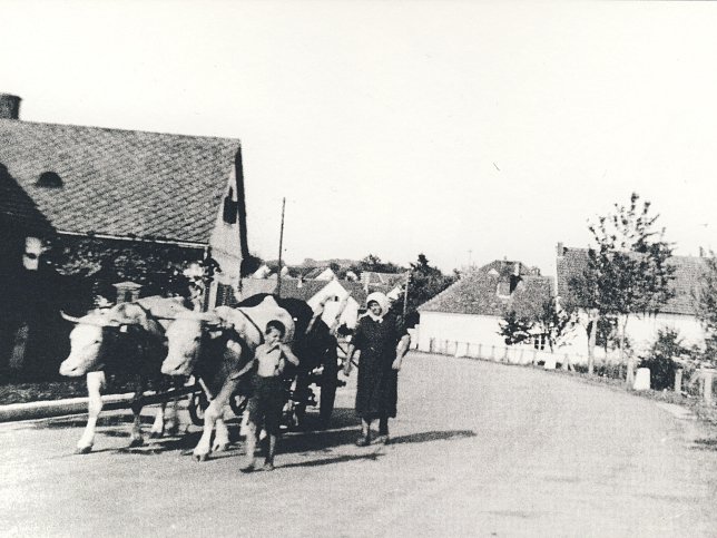 Heiligenkreuz, Ochsenkarren
