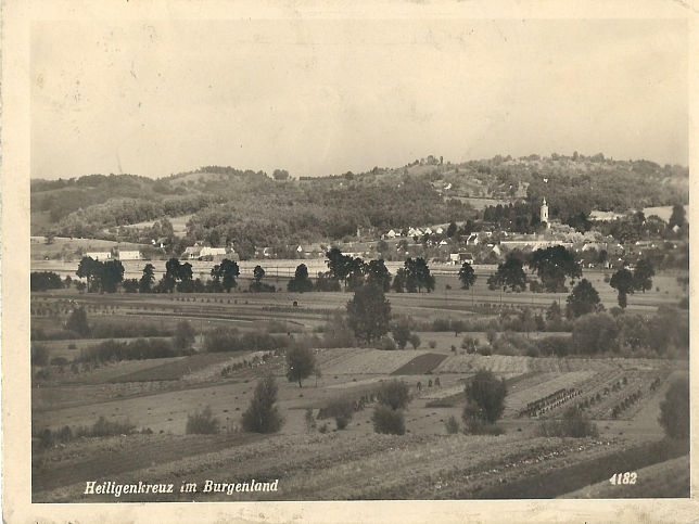 Heiligenkreuz, Panorama