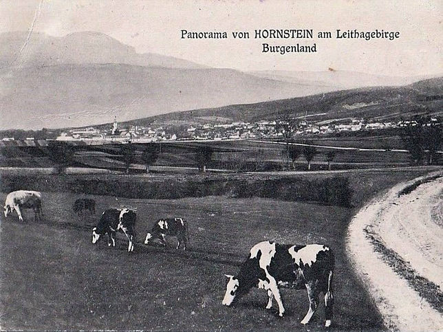 Hornstein, Panorama