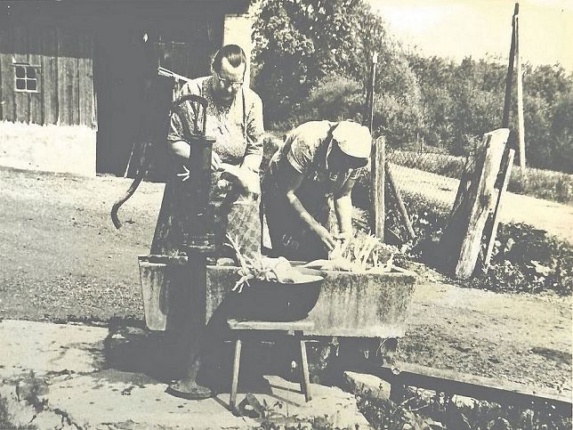 Krottendorf bei Gssing, Hhnerrupfen