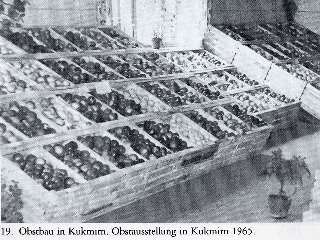 Kukmirn, Obstausstellung