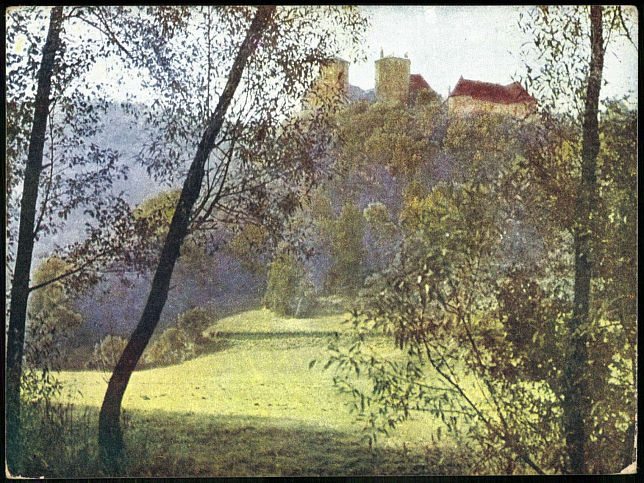 Lockenhaus, Burg