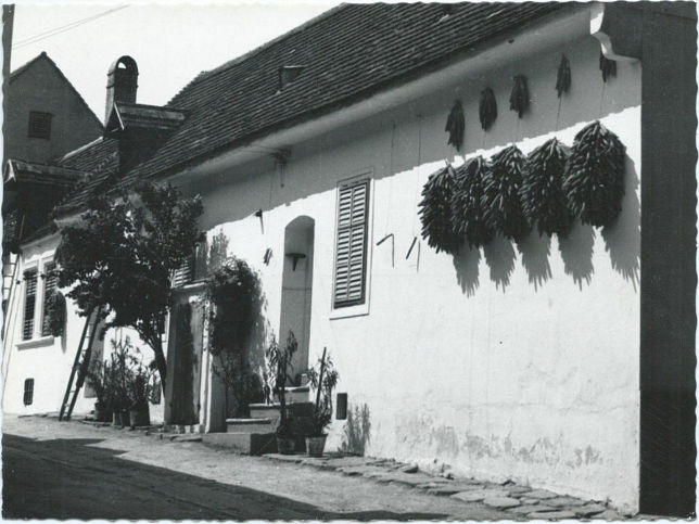 Mörbisch, Bauernhaus