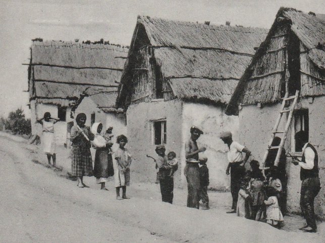 Mörbisch, Romasiedlung