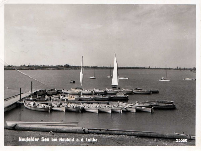 Neufeld an der Leitha, Boote