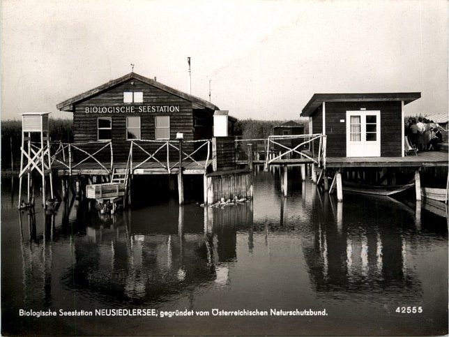 Neusiedl am See, Biologische Seestation