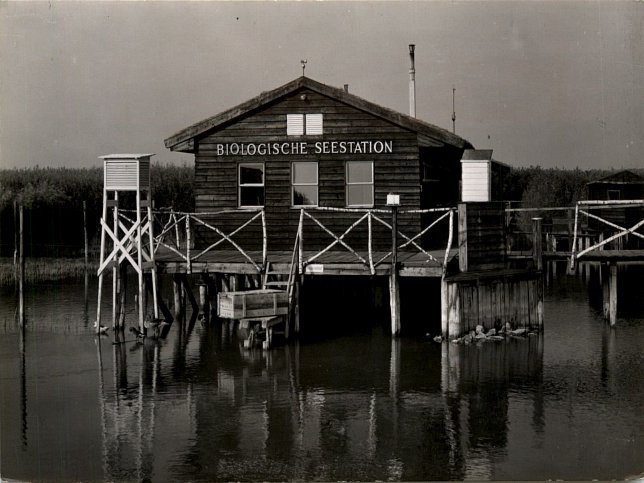 Neusiedl am See, Biologische Seestation