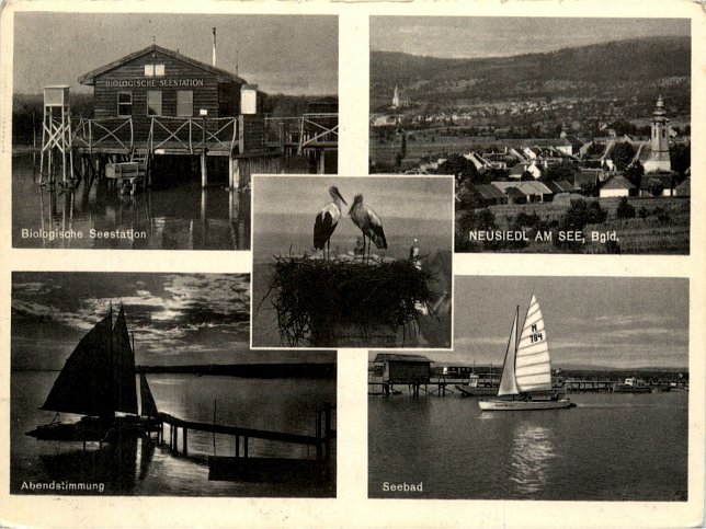 Neusiedl am See, Mehrbildkarte