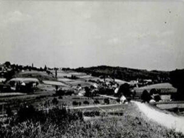 Neusiedl bei G�ssing, Panorama