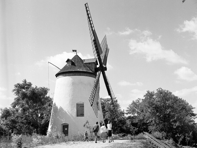 Podersdorf, Windmhle