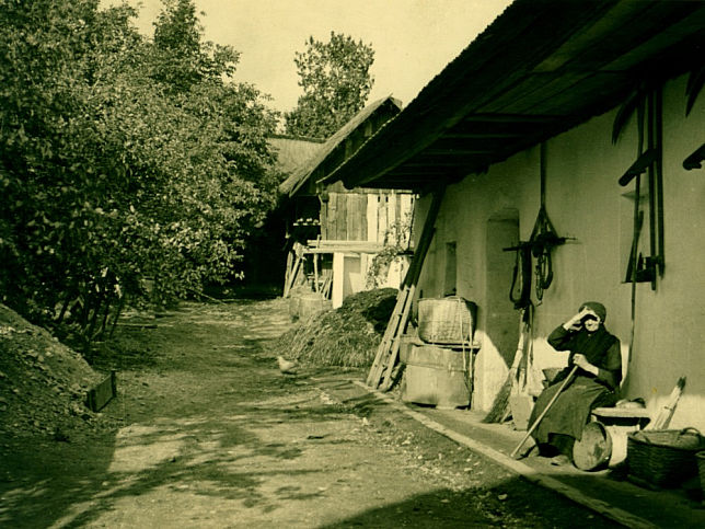 Riedlingsdorf, Theresia Piff