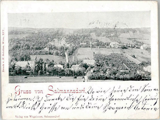 Salmannsdorf, Panorama