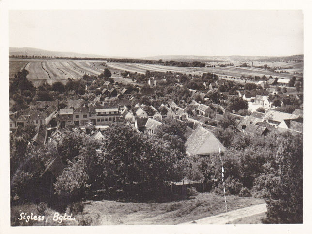 Sigle, Panorama