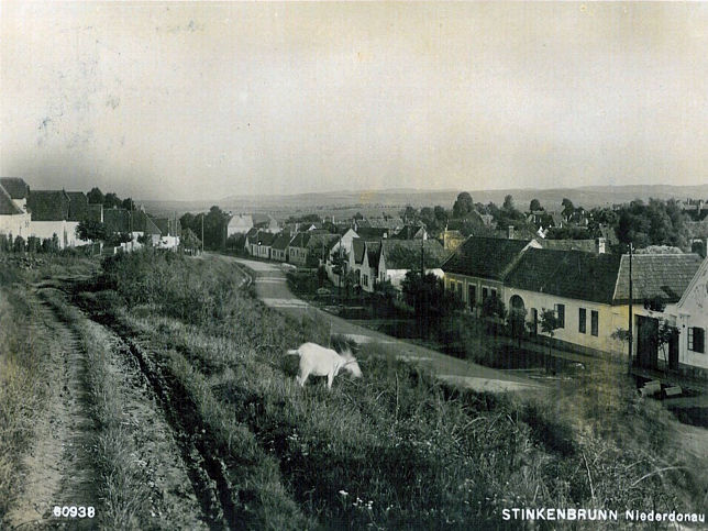 Steinbrunn
