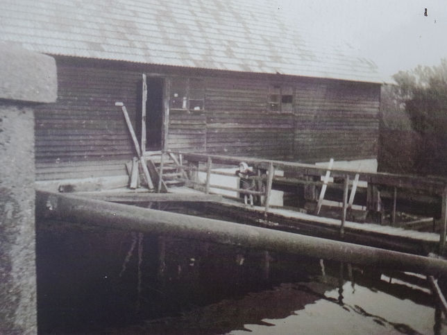 Unterwart, Obere Mühle