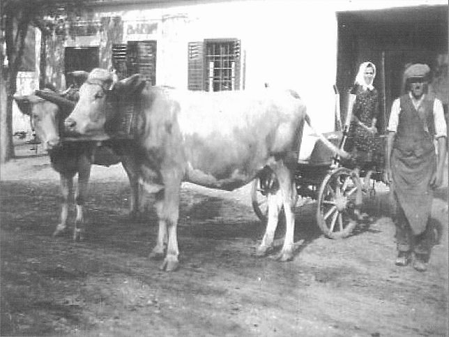 Urbersdorf, Alois und Theresia Frhmann